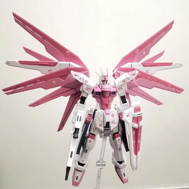 JMS HG 1/144 ZY-06 Freedom Ass – обзор и цена Bandai Gundam Hg
