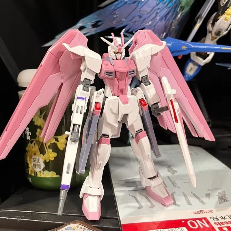 JMS HG 1/144 ZY-06 Freedom Ass – обзор и цена Bandai Gundam Hg